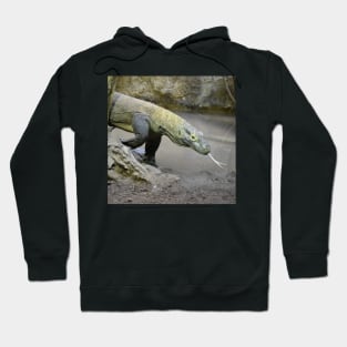 Komodo dragon Hoodie